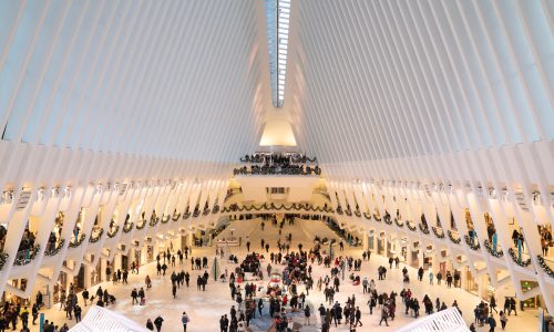 oculus new york